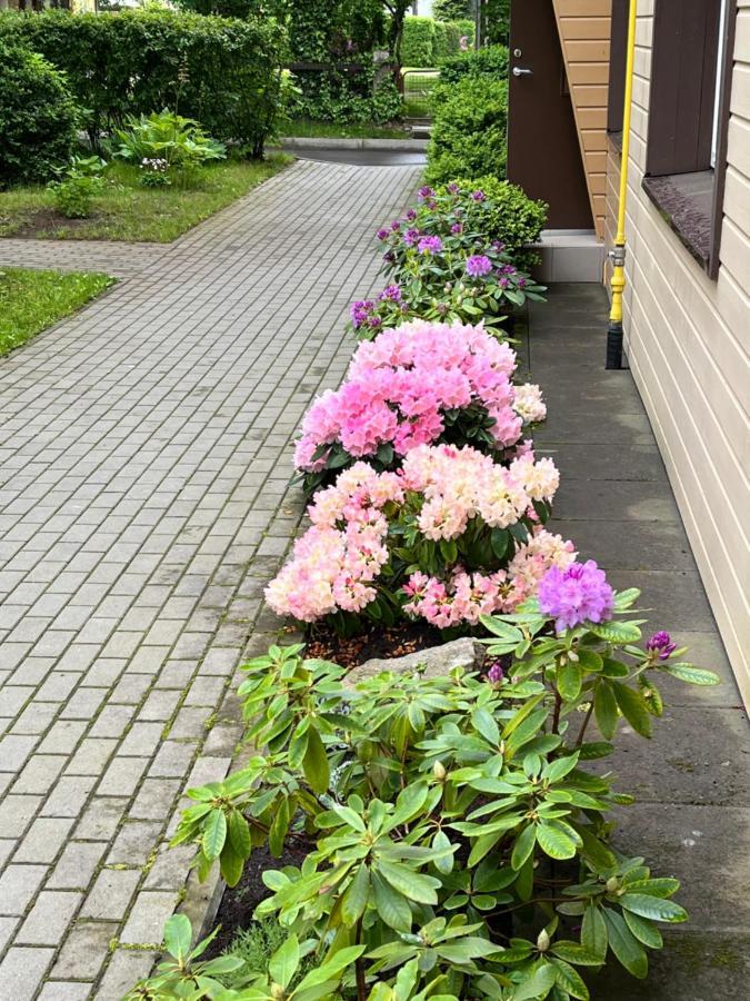 Apartamentai Palangos Centre Паланга Экстерьер фото